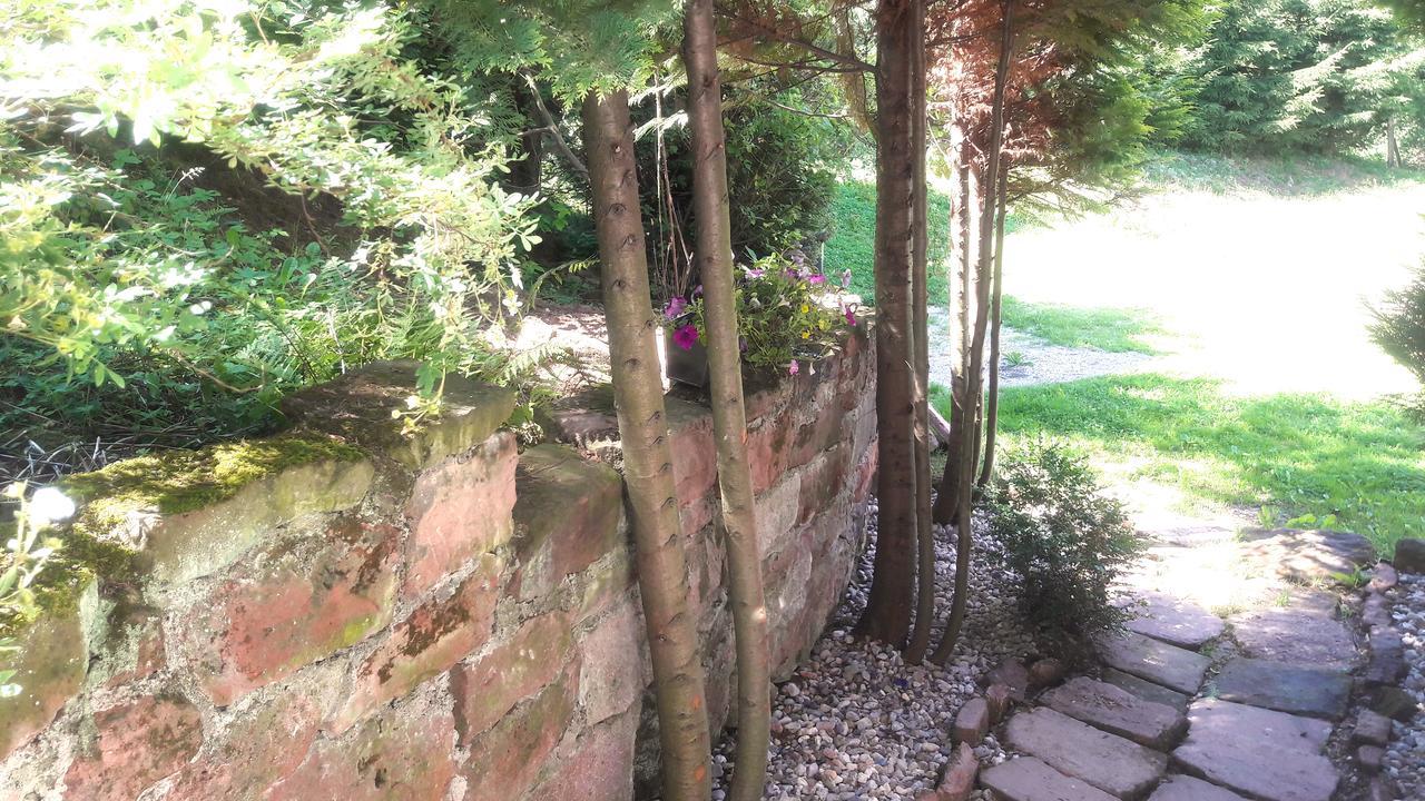 Wsiowa Chata Scinawka Gorna Exterior foto